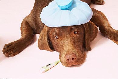 2.5D类银河恶魔城游戏《曼德拉》Steam页面上线 将参加2024科隆展